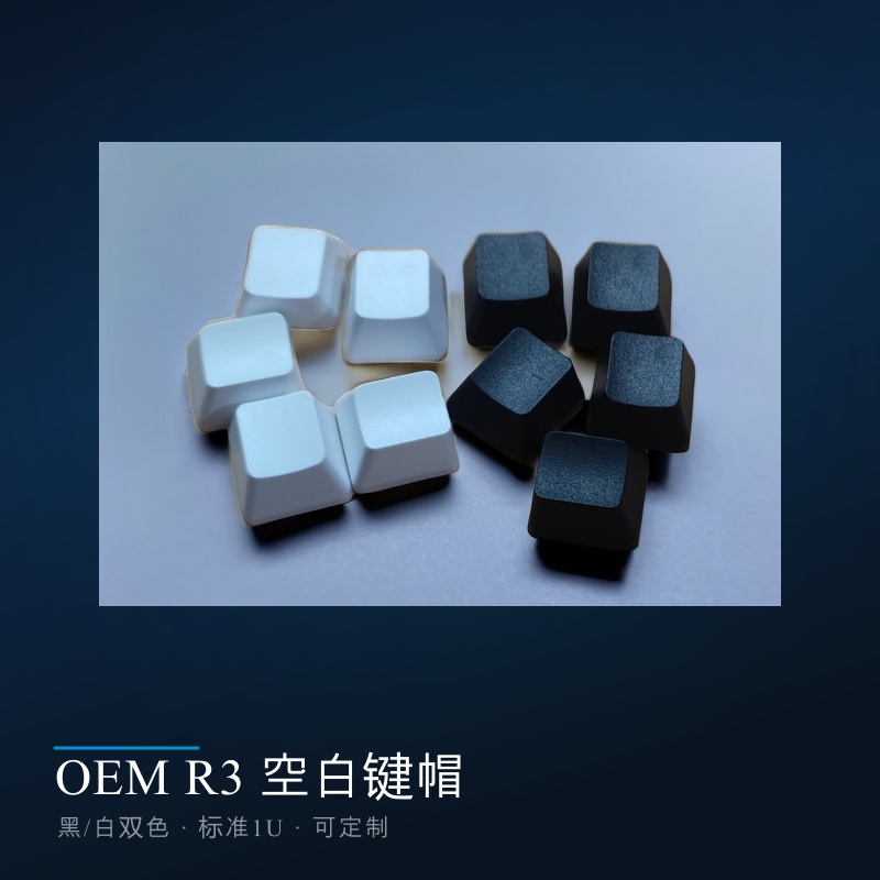 Blank ABS Keycaps (R3 Profile)